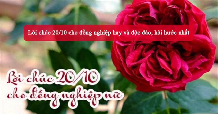 Lời chúc 20/10 cho đồng nghiệp hay và độc đáo, hài hước nhất