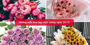 Những mẫu hoa đẹp chúc mừng ngày 20/10