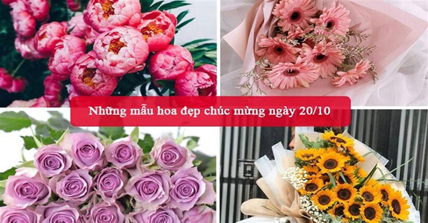 Những mẫu hoa đẹp chúc mừng ngày 20/10