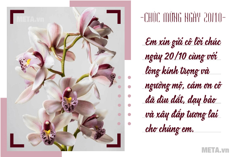 Hình ảnh chúc 20/10