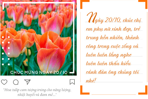 Hình ảnh chúc 20/10