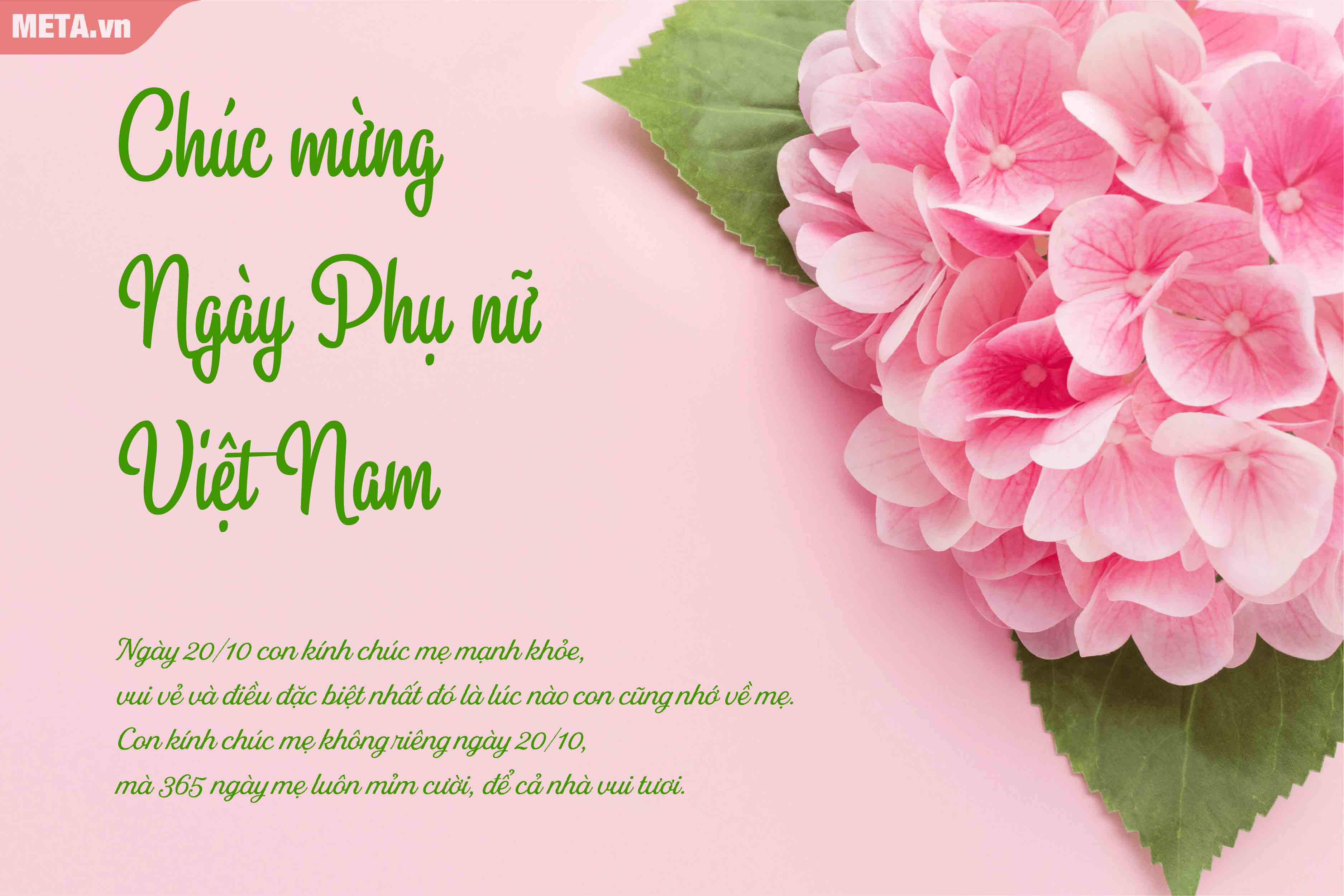 Hình ảnh chúc 20/10