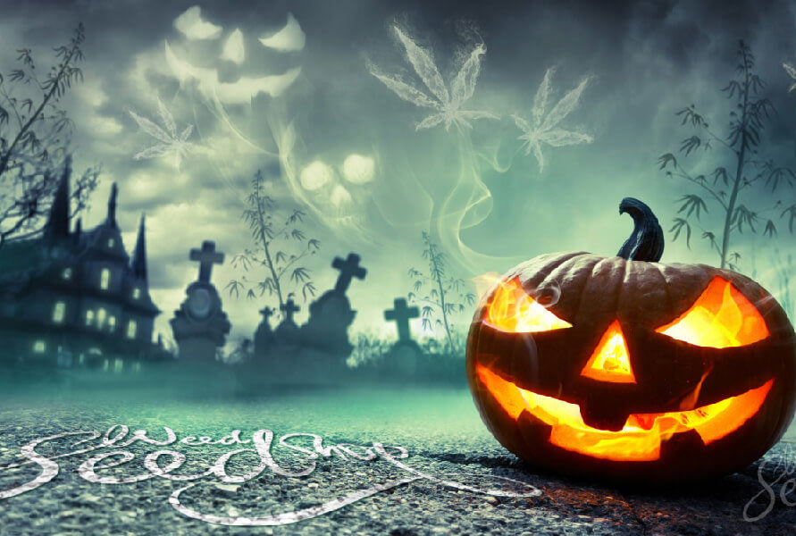 Tranh vẽ Halloween 3D nổi bật