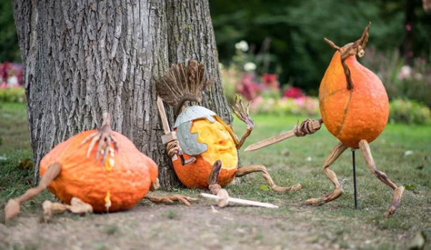 Ảnh bí ngô Halloween đáng yêu