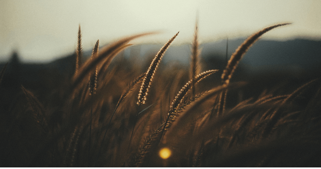 Hình nền đẹp 4K cho máy tính 1