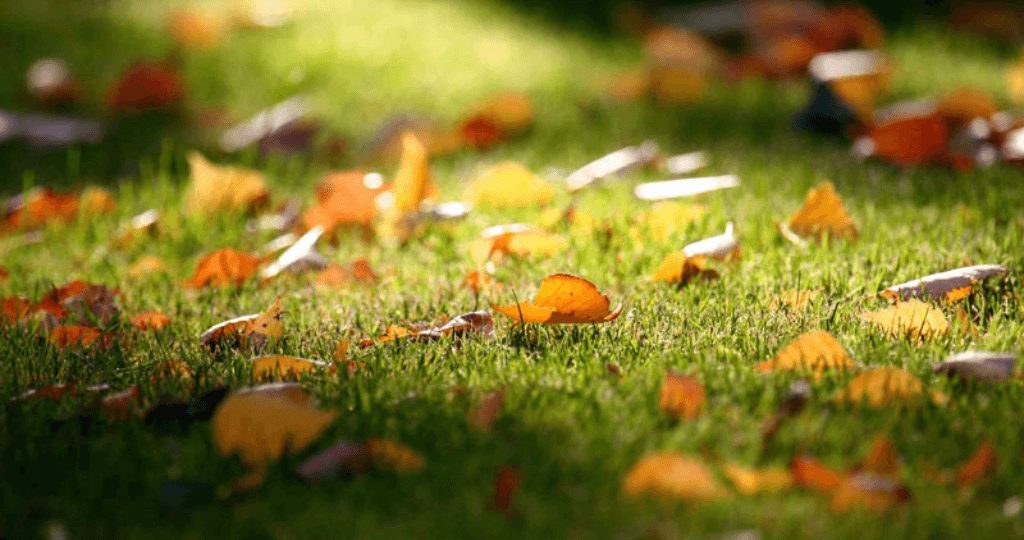 Hình nền đẹp 4K cho máy tính 7