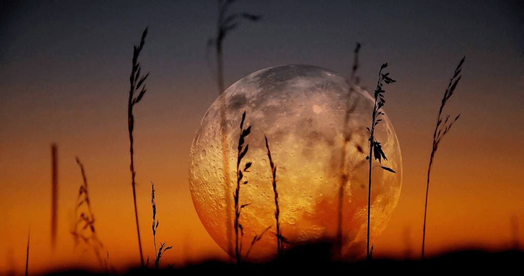 Hình nền đẹp 4K cho máy tính 8