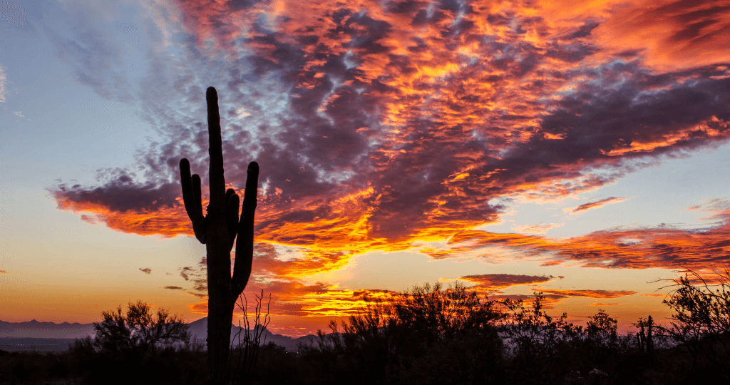 Hình nền 4K PC đẹp