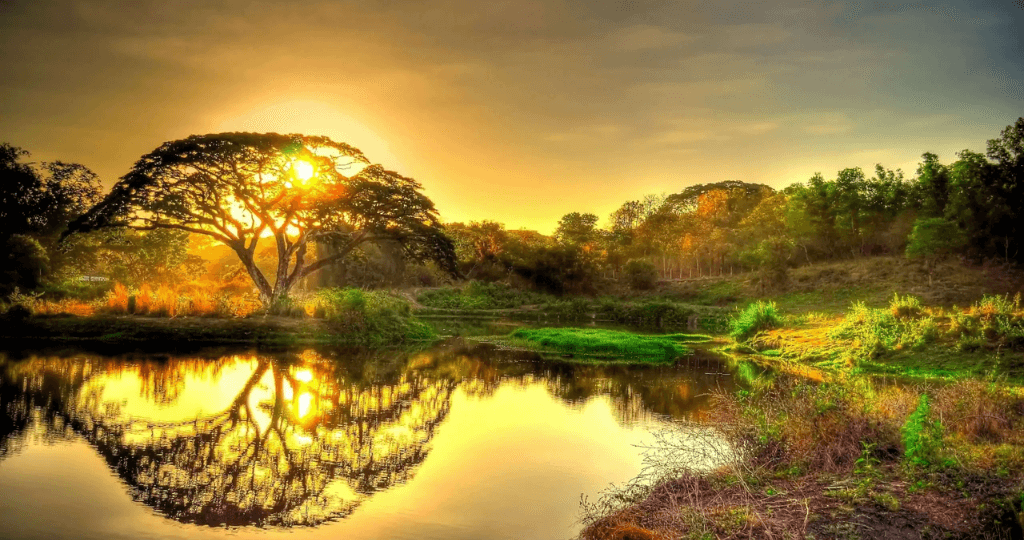 Hình ảnh 4K cho máy tính