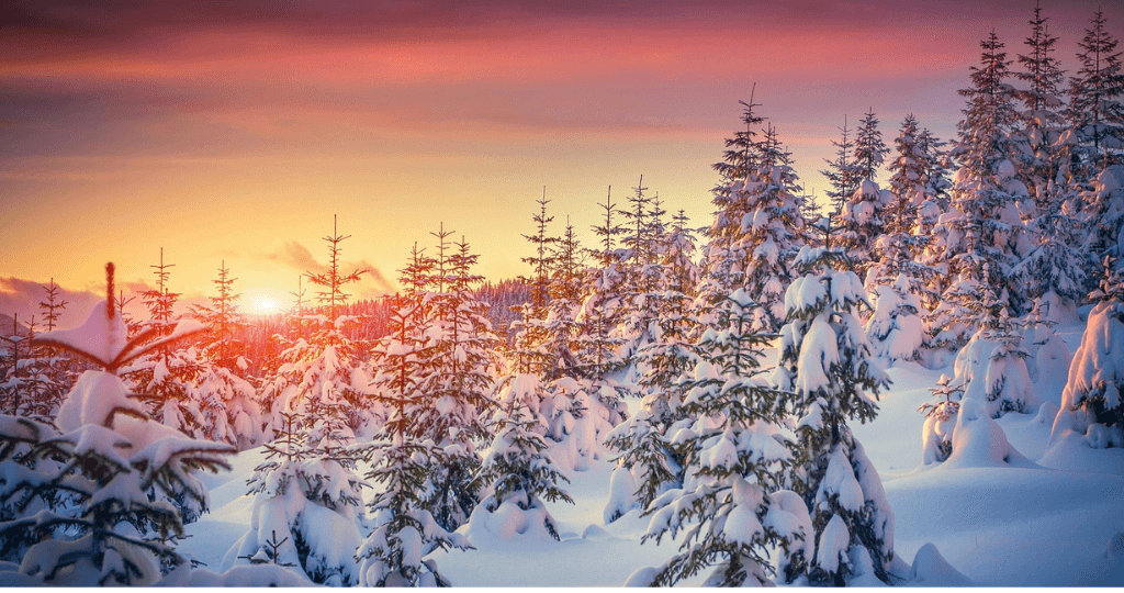 Ảnh nền màn hình máy tính 4K