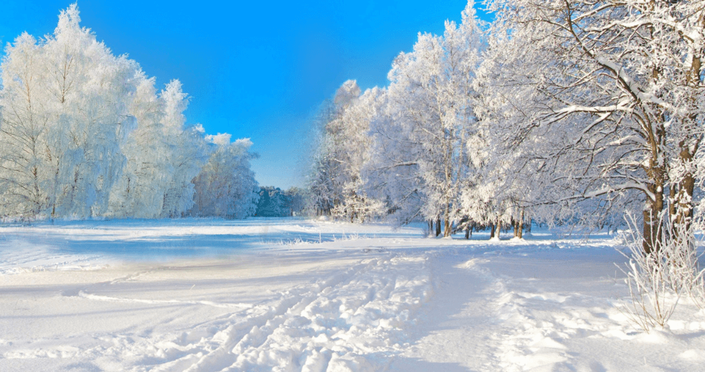 Hình ảnh 4K cho máy tính của bạn