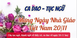 Câu tục ngữ, thành ngữ về thầy cô, ca dao về ngày 20-11 hay