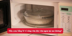 Nấu cơm bằng lò vi sóng vừa dẻo vừa ngon tại sao không?