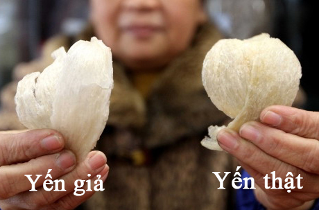 Phân biệt yến thật giả khi chưng yến