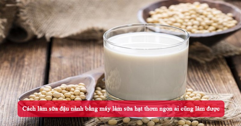 Cách làm sữa đậu nành bằng máy làm sữa hạt thơm ngon ai cũng làm được