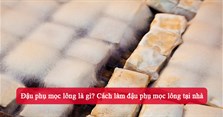 Đậu phụ mọc lông là gì? Cách làm đậu phụ mọc lông tại nhà