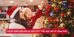 Còn bao nhiêu ngày nữa tới Noel 2024? Mấy ngày nữa tới Giáng Sinh?