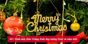 50+ Hình ảnh chúc Giáng Sinh đẹp mừng Noel và năm mới