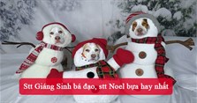 60+ Stt Giáng Sinh bá đạo, stt Noel bựa hay nhất