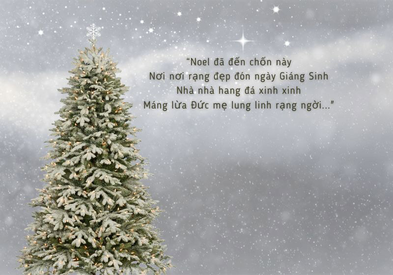 Thơ Noel hay nhất