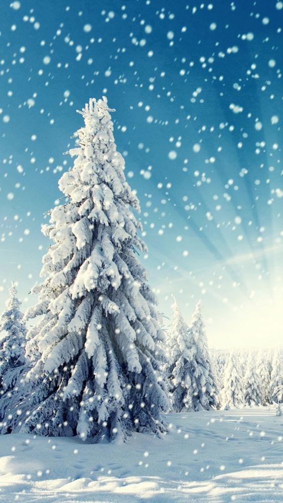 Hình nền Noel cho điện thoại