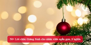 50+ Lời chúc Giáng Sinh cho nhân viên ngắn gọn, ý nghĩa