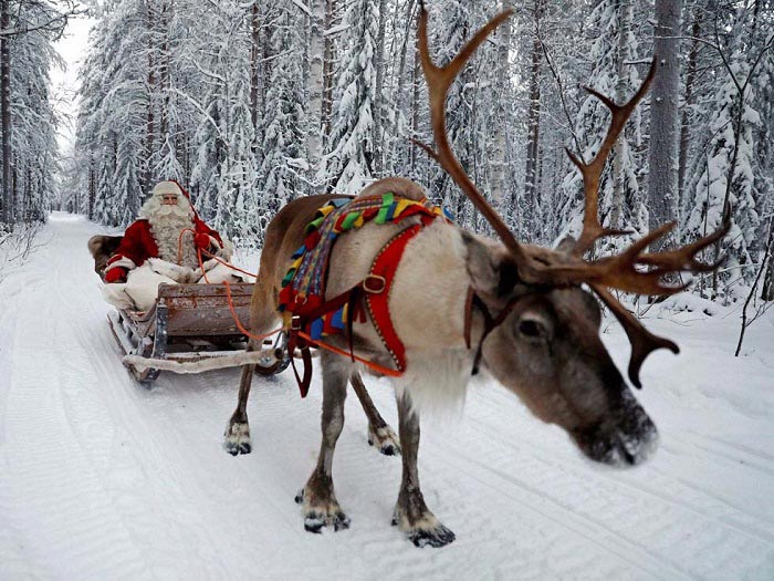 Hình ảnh ông già Noel cưỡi tuần lộc