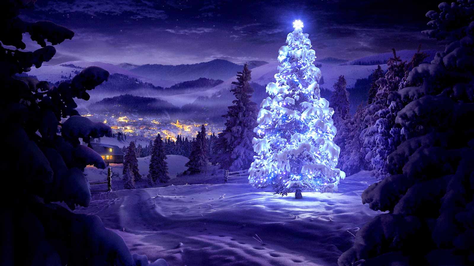 Hình ảnh cây thông Noel đẹp cho PC, laptop