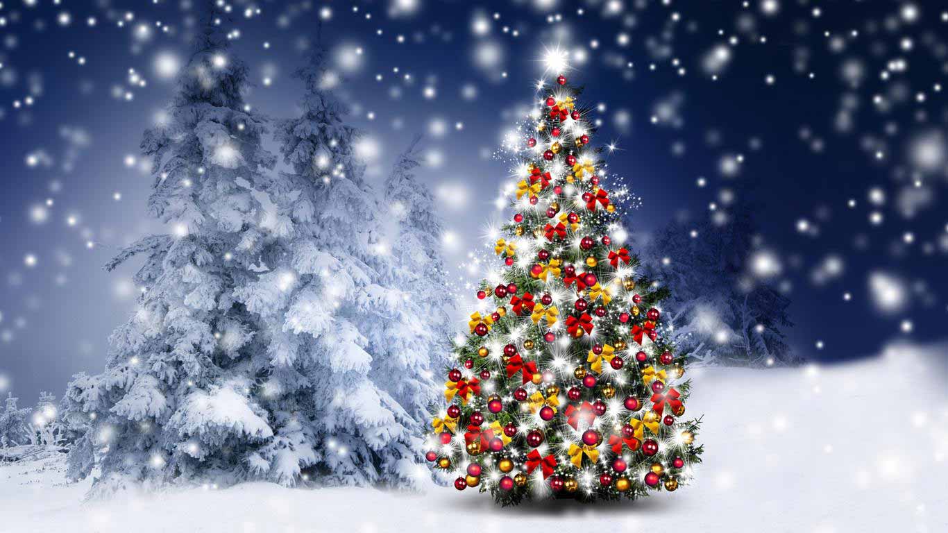 Hình ảnh cây thông Noel đẹp cho PC, laptop