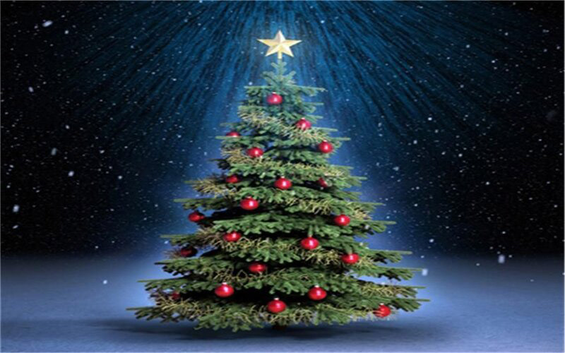 Hình ảnh cây thông Noel đẹp cho PC, laptop