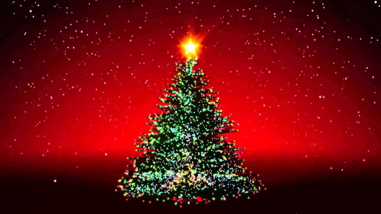 Hình ảnh cây thông Noel đẹp cho PC, laptop