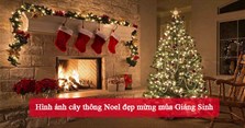 Hình ảnh cây thông Noel đẹp mừng mùa Giáng Sinh