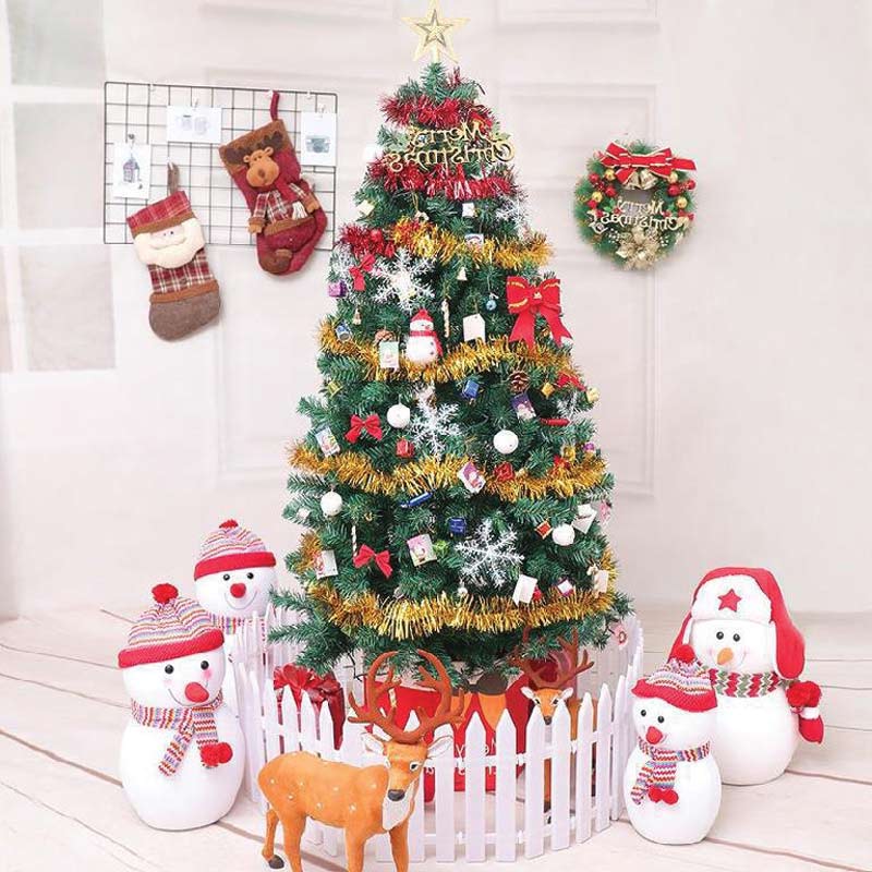 Hình ảnh cây thông đẹp