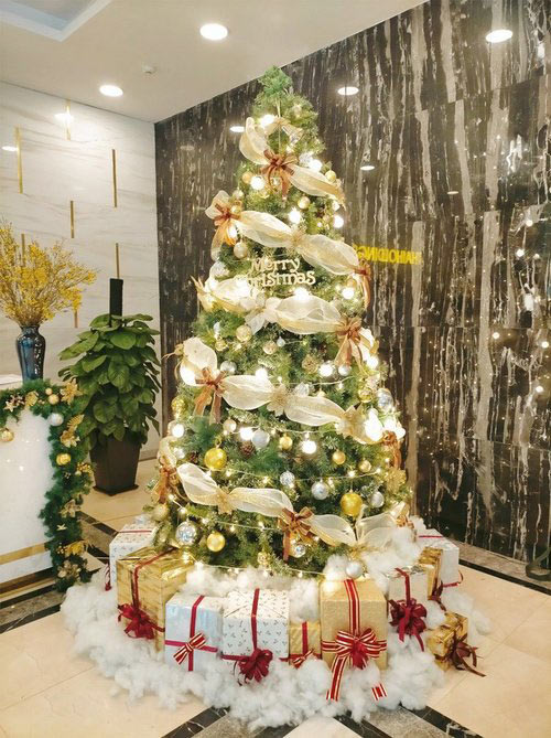 Ảnh cây thông mùa Giáng Sinh