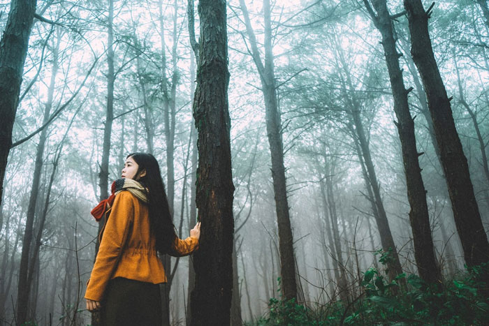 Núi Hàm Rồng (Gia Lai)