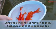 Cúng ông Công ông Táo mấy con cá chép? Cách chọn mua cá chép cúng ông Táo