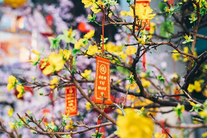 28 Tết 2024 vào ngày mấy Dương lịch