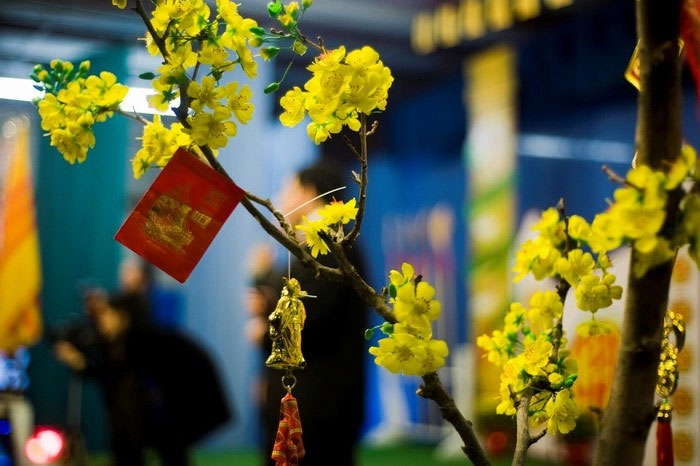 Đi làm vào dịp Tết 2024 được tính lương như thế nào?