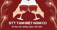 Stt tạm biệt năm cũ, stt hay cho những ngày cuối năm
