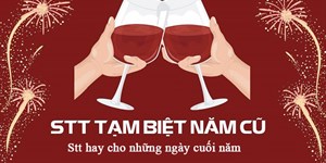 Stt tạm biệt năm cũ, stt hay cho những ngày cuối năm