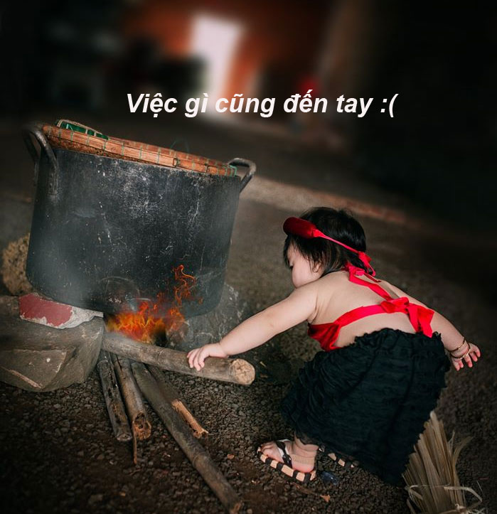 Ảnh chế Tết hài hước dịp Tết 2024