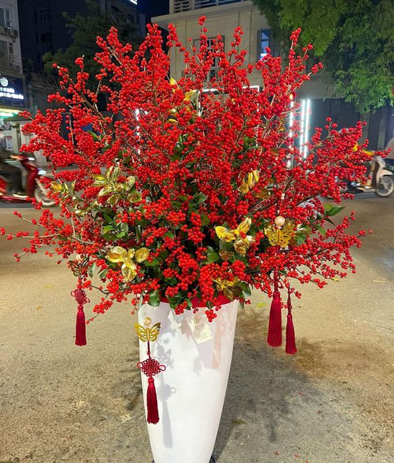 Đào đông chơi Tết