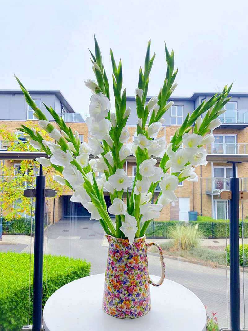 Cách cắm hoa dơn đẹp