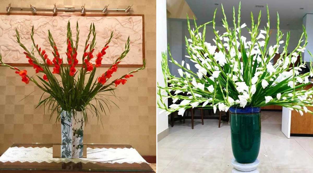 Cách cắm hoa dơn đẹp