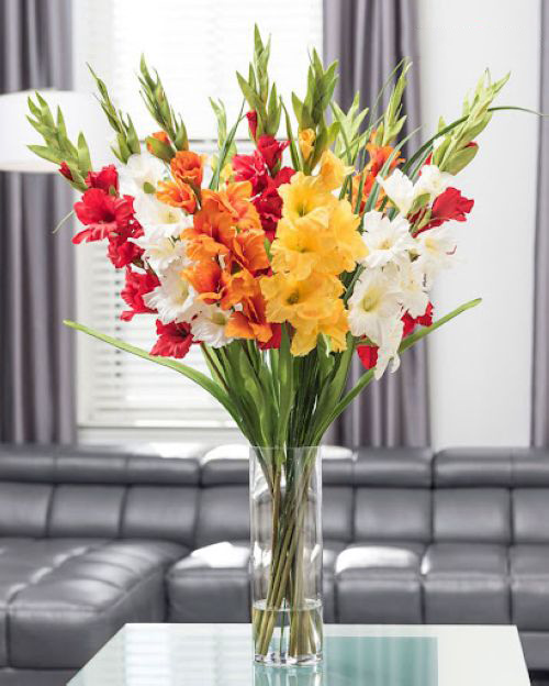 Cách cắm hoa dơn đẹp