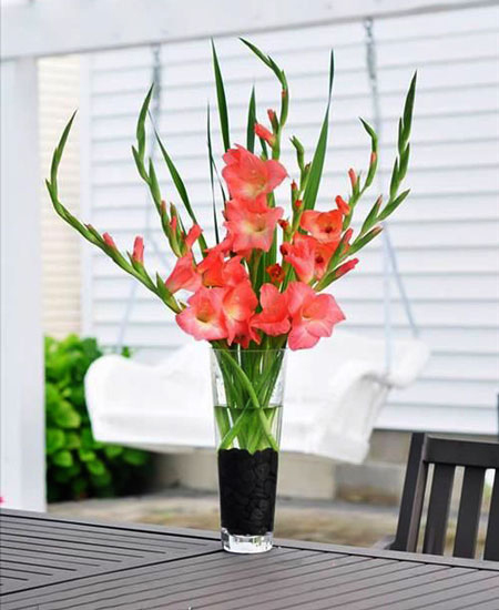 Cách cắm hoa dơn đẹp