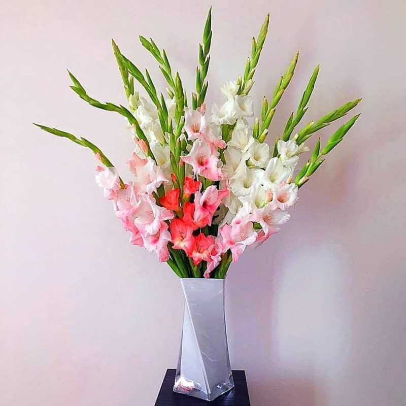 Cách cắm hoa dơn đẹp