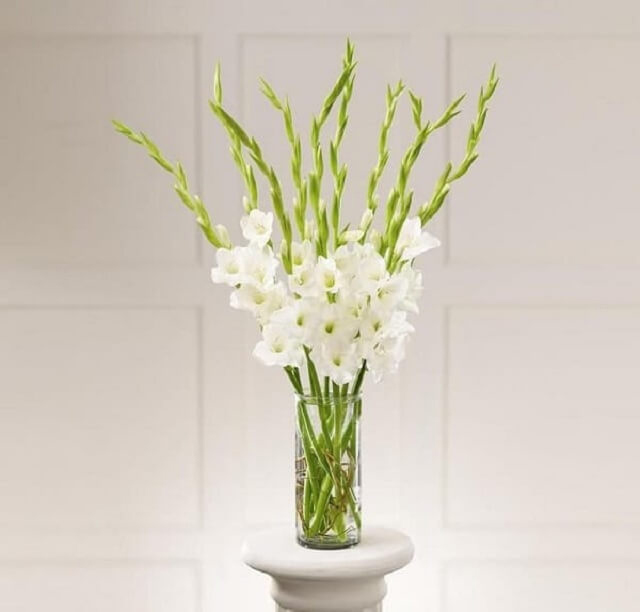 Cách cắm hoa dơn đẹp