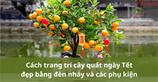 Cách trang trí cây quất ngày Tết đẹp bằng đèn nháy và các phụ kiện