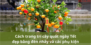 Cách trang trí cây quất ngày Tết đẹp bằng đèn nháy và các phụ kiện